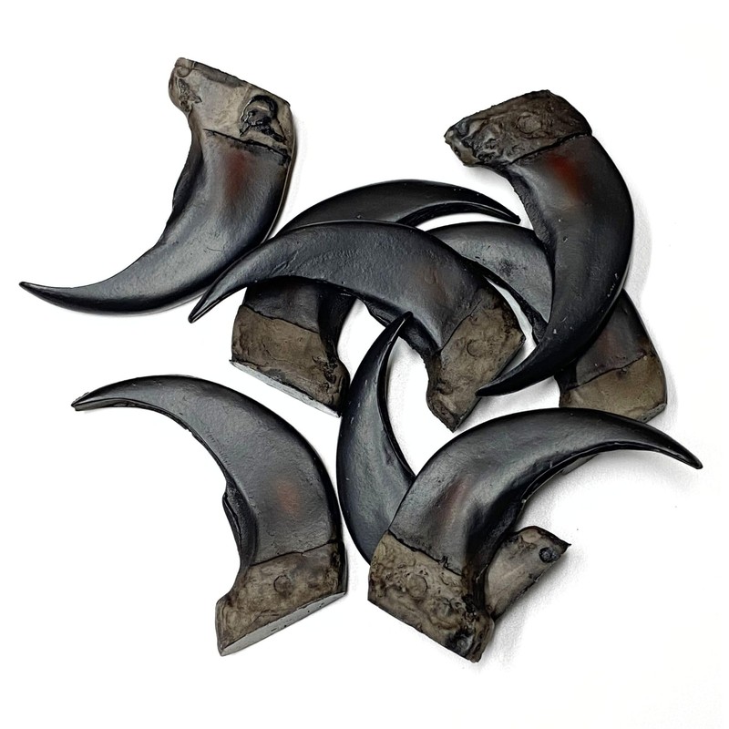 Bear Claw Replica
