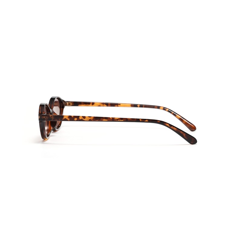 WDZAYXC Retro Oval Rectangular Sunglasses for Men and Women, Classic