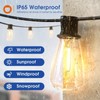 addlon 100FT(50FT*2) LED Outdoor String Lights Waterproof Patio Lights with