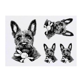 4 x 'Scottish Terrier with Bunny Toy' Temporary Tattoos - Water Resistant, Skin-Safe, Non-Toxic Transfers, Mixed Sizes (TO00084114)
