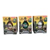 Dinosaurierbaby 3 Egg Set You Will Receive 3 Dinosaur Eggs
