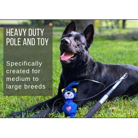 LUCOLOVE Flirt Pole for Dogs Heavy Duty - Upgraded Durable Raccoon Toy – Extra Strong 39" Dog Flirt Pole for Backyard Play, Training and Interactive Fun (Version 2)