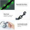 Luwint LED Dog Leash Retractable 8.8ft - Light Up Dog