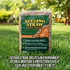Seeding Straw with Tackifier, 2.5 cu ft (Covers up to