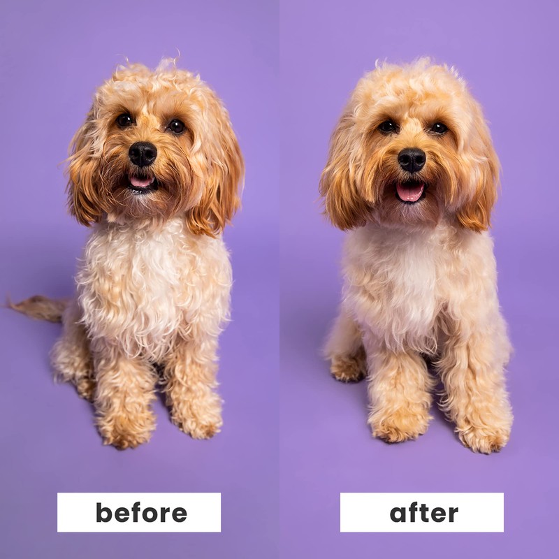 Tangle Teezer | Pet Teezer | Small Detangling and Dog