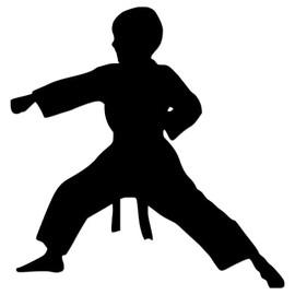 Kids Youth Karate Japanese Martial Arts Self Defense Vinyl Sticker Decal for Car Truck Motorcycle Windows Bumper Laptop Home Wall Decor - Many Colors & Sizes