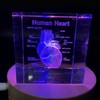 3D Human Heart with Labels Anatomical Model Paperweight(Laser Etched) in