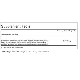 ANDREW LESSMAN Wellness Mushroom Complex 60 Capsules - Organic Full Spectrum Blend of 11 Mushrooms - Supports Overall Health and Vitality - No Additives. Mushroom Complex Supplement