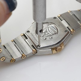 5 Piezas Kit de Destornilladores de Acero para Relojes con Mango Estriado y Estante Cuadrado, Herramienta de Relojero para Reparación y Cambio de Correas 0.8-1.6mm