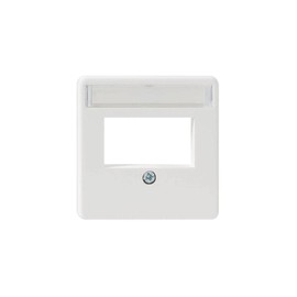 Rutenbeck 13910053 – Central plate Recessed 2 RJ45 Outputs Window rótulado Polar White
