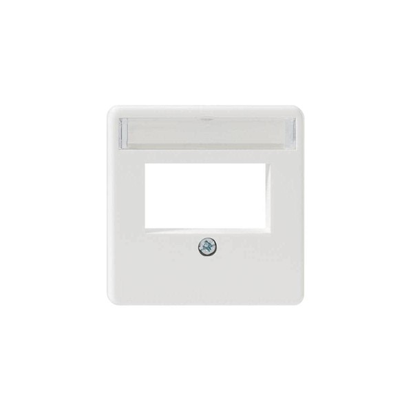 Rutenbeck 13910053 – Central plate Recessed 2 RJ45 Outputs Window