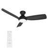 Consciot Ceiling Fan With Light, 44 Inch Low Profile Ceiling