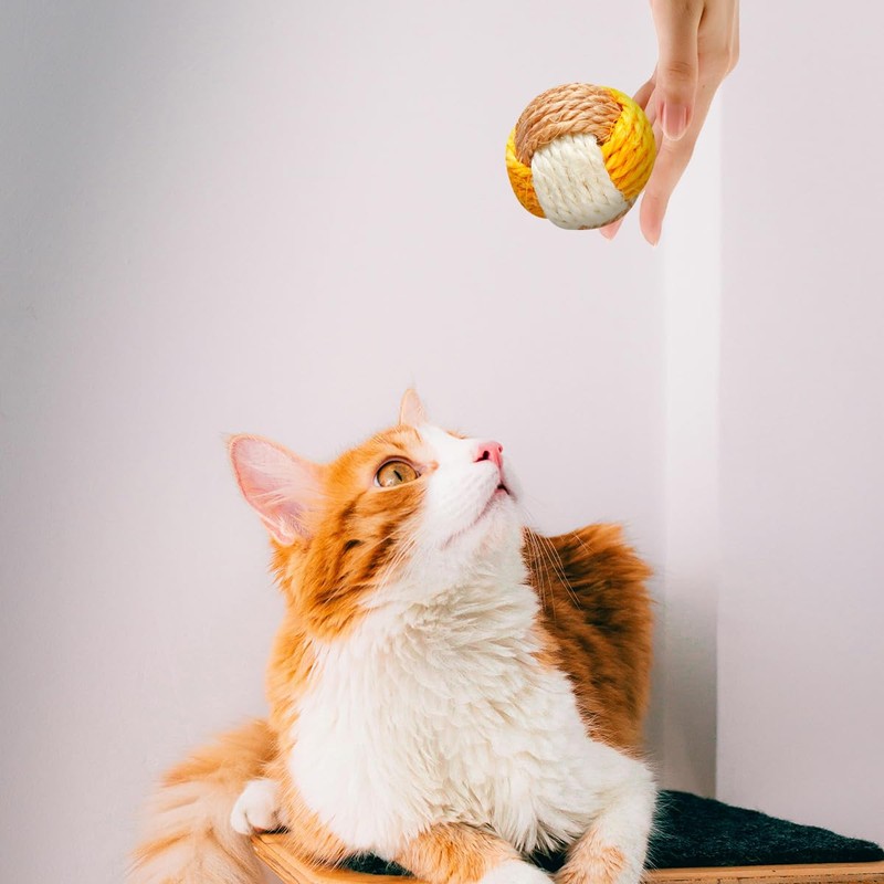 Lotsdonxia 4 Pcs Sisal Cat Toy Balls, Interactive Pet Rolling