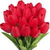 20 Pcs Artificial Red Tulip Flowers Faux Tulip Stems PU Real Touch Tulips 13.7" Tall for Spring Easter Vase Wedding Bouquets Floral Arrangements Wreath Table Centerpiece Indoor Outdoor Decoration