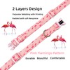 Olahibi Basic Dog Collar, Polyester Webbing Padded with Soft Neoprene,