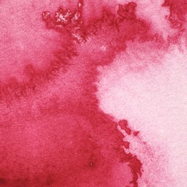 Winsor & Newton Professional Watercolor Pintura Acrílica, Rosa (Permanent Rose - 502), 5 ml, 1 Unidad