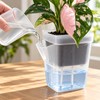15-Pack Self-Watering Plant Pots for Seedlings and Cuttings – Translucent
