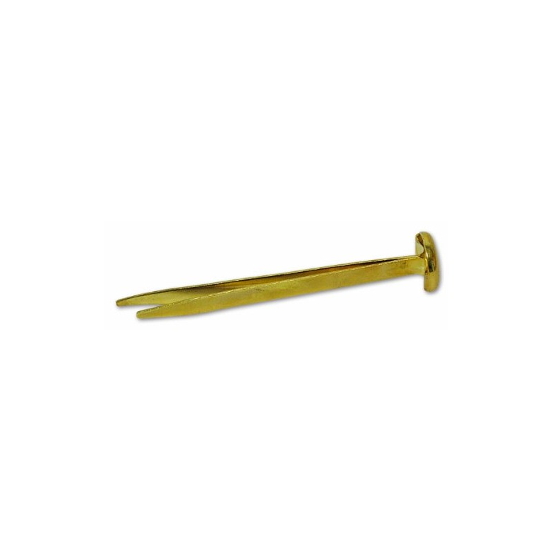 Chapuis AP50 Set of 10 Fasteners Brass-Plated Steel 10 mm
