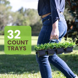 SodPods® St. Augustine Palmetto Grass Plugs for Lawn Repair, 3" x 3" Each (32-Count) – Cannot Ship to California/Arizona