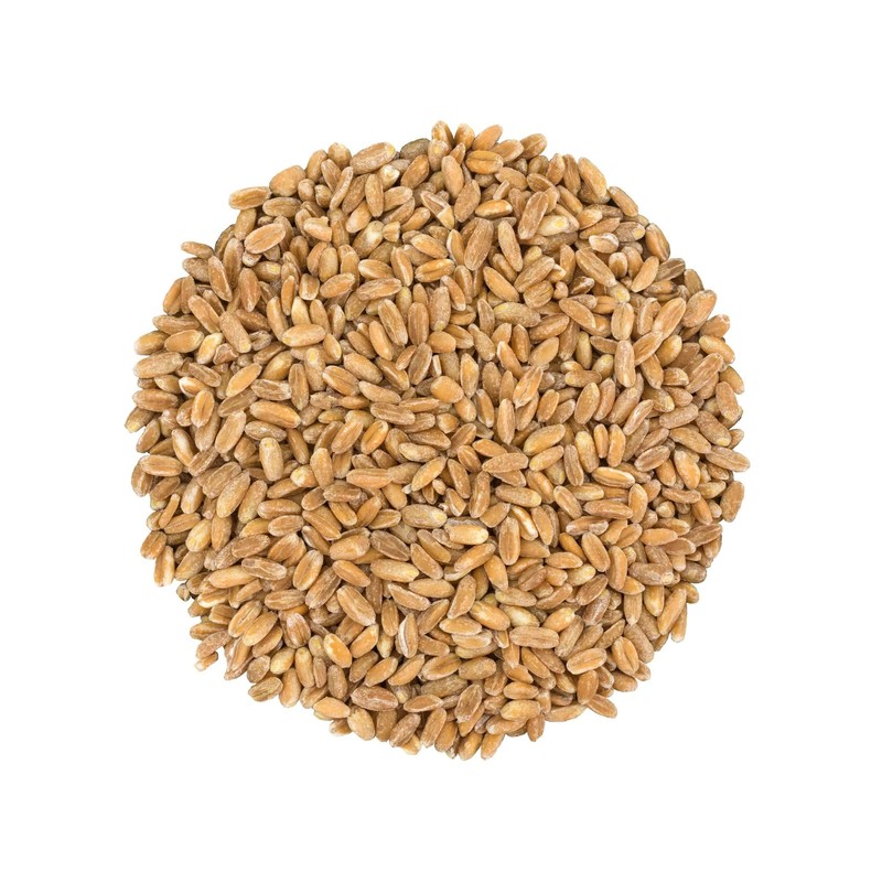 Food to Live Pearled Farro Grain, 1 Pound - Italian