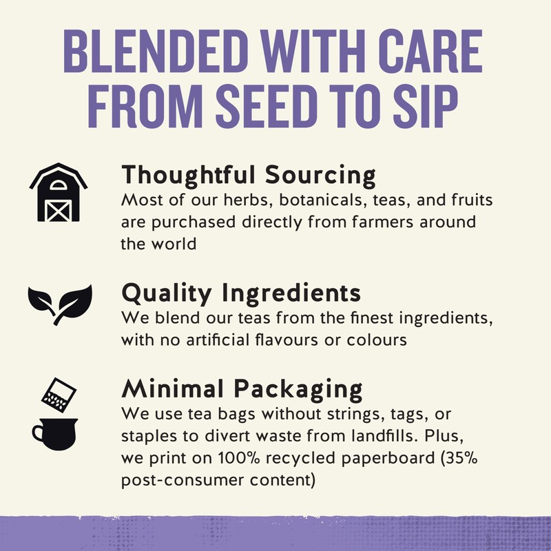 Celestial Seasonings Sleepytime Wellness Sinus Soother Tea, Caffeine Free, 20
