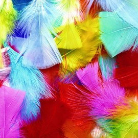 Colorations Rainbow Craft Feathers Classroom Pack, 8 oz – Colored Feathers for Arts & Crafts, Includes Zip-Top Bag for Easy Storage – Classroom Supplies for School and Learning at Home