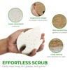 AIRNEX Natural Kitchen Sponges (6 Pack) - Biodegradable Cellulose &