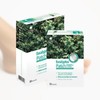 Eucalyptus sap patch 10 sheets foot care patch / 유칼립투스 수액 패치 10매 발관리패치
