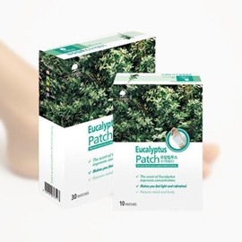 Eucalyptus sap patch 10 sheets foot care patch / 유칼립투스 수액 패치 10매 발관리패치