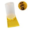 PAVIKE Bee Feeding Point, Beekeeping Equipment, Bee Drinking Water, Bee