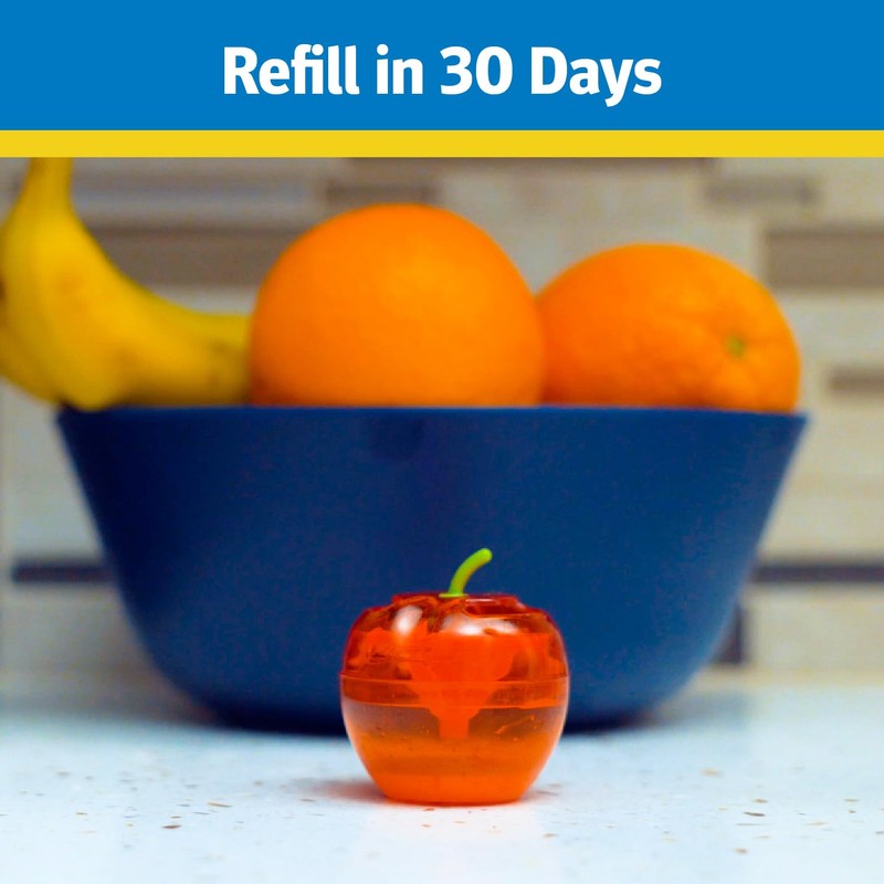 Raid Fruit Fly Trap with Lure, Easy to Use, Apple