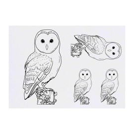 Azeeda 4 x 'Sitzende Schleiereule' Temporäre Tattoos - Wasserfest, Hautfreundlich & Ungiftig · Transfers in Verschiedenen Größen (TO00075704)