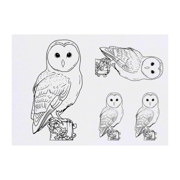 Azeeda 4 x 'Sitzende Schleiereule' Temporäre Tattoos - Wasserfest, Hautfreundlich