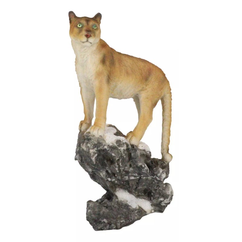 Mountain Lion Cougar Standing On Edge of Snow Capped Rock