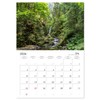 Wonderful World - Forests (Monthly Wall Calendar 2026 16.5" x