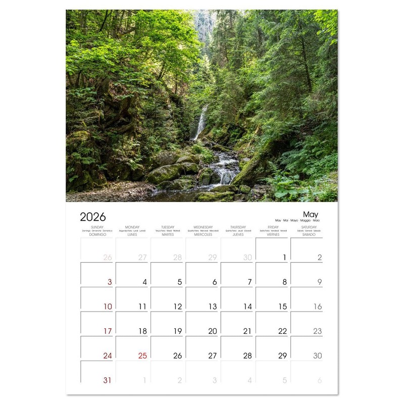 Wonderful World - Forests (Monthly Wall Calendar 2026 16.5" x