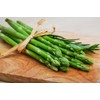 12 Pcs Jersey Giant Asparagus Seeds - Perennials