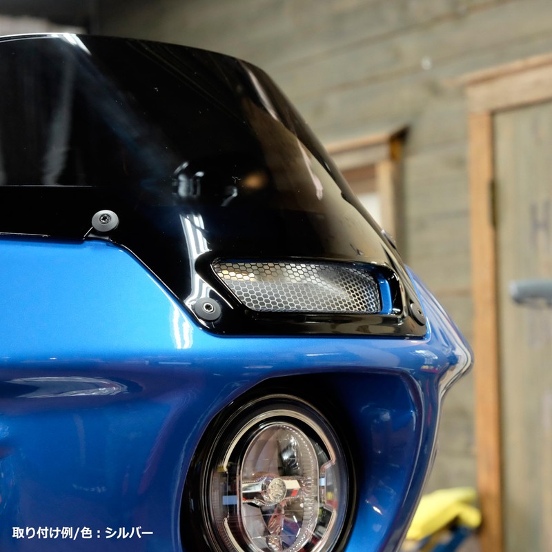 Harley-Davidson Low Rider ST Fairing Duct Cover Black RG-11