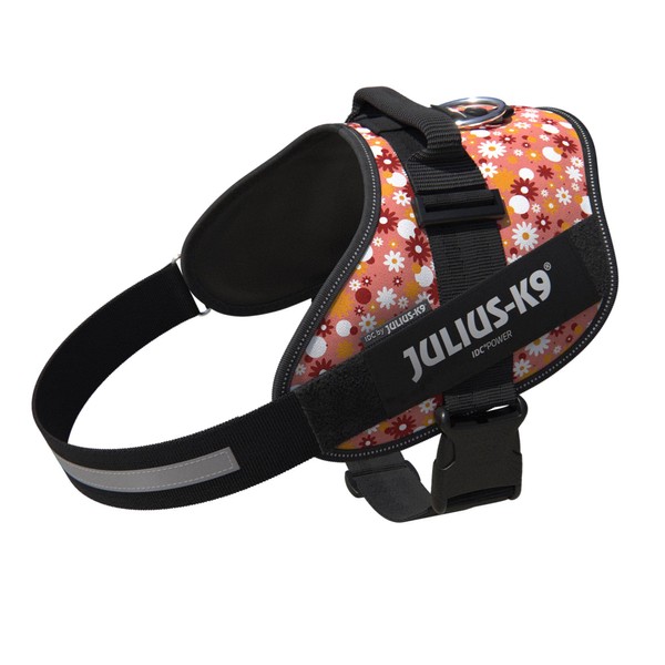 Julius-K9 IDC Power Harness Size 2XL/3 Pink with Small Flowers