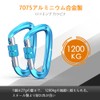 Brotree Carabiner, Locking Carabiner, Load Capacity 26.7 lbs (12 KN)