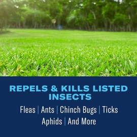 BioAdvanced Complete Insect Killer for Lawns, 40 oz, Concentrate, 6,667 Sq Ft.