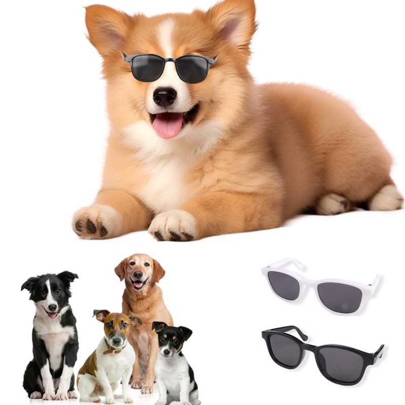 Mini Pet Sunglasses UV Protection Windproof Goggles for Dogs and