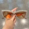 Fashionable Cat Eye Glasses for Women Adorned with Rhinestones, Featuring