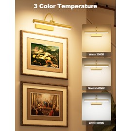 Bridika Picture Light for Wall with Remote, Rechargeable Battery Operated Picture Light, 3 Color Modes and Dimmable Classic Art Lights for Paintings, Gallery, Bedroom, Bathroom with Timer Gold 2