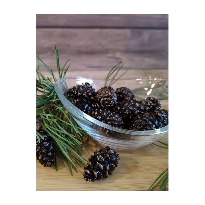 Samsonov & Partners Candied Young Pine Cones Siberian Delicacy 100g/