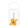 Natural Rubber Soother Buy National Rubber Soother Medium Round 3 to 6 months Single Pack Online
