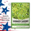 Gardeners Basics Summer Savory Seeds