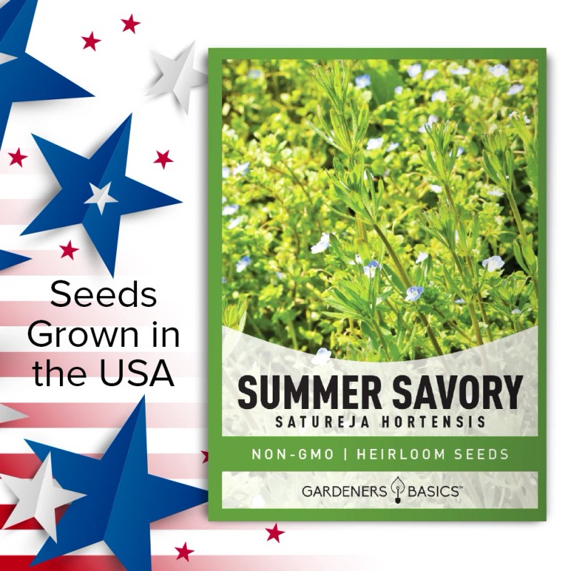 Gardeners Basics Summer Savory Seeds