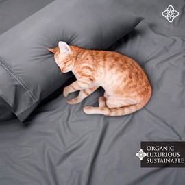 BIOWEAVES 100% Organic Cotton Percale Weave Sheets Queen – Crisp, Soft & Naturally Cooling, 300 Thread Count GOTS Certified Sheets for Queen size bed with 17” Deep Pocket – 4 Piece Set, Steel Grey