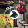 10pcs 1-1/2" Pick Cam Belt Buckles Plastic Black Toggle Clip